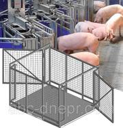 Весы для взвешивания животных 600, 1000, 1500, 2000, 3000 кг