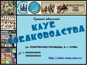 Приглашаем в клуб собаководства